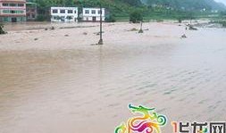 重庆万州区最新爆料,揭秘事件背后真相